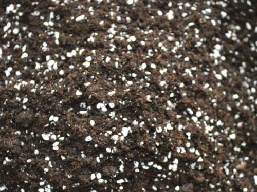 5萬噸秸稈(蘑菇渣)基質(育苗土)