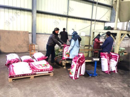 8萬(wàn)噸造紙污泥有機(jī)肥