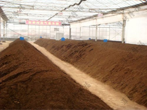 時產5000包基質（育苗土）
