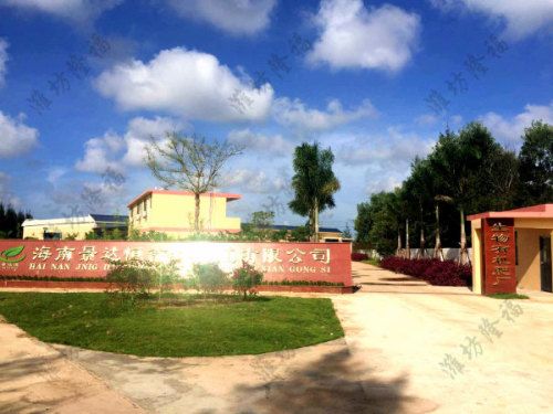 時產5000包基質（育苗土）