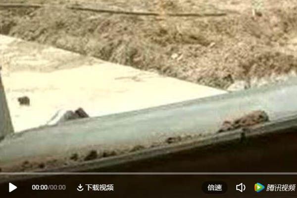 牛羊糞有機肥（粉劑）視頻